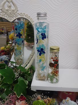 ずこうしつ〜sugamo〜に投稿された画像（2019/12/20）