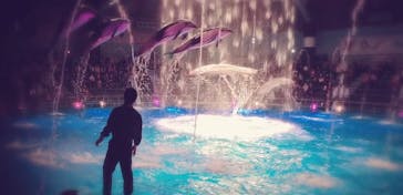 マクセル アクアパーク品川に投稿された画像（2019/11/24）