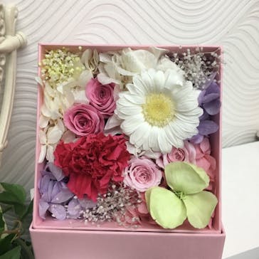 ずこうしつ〜sugamo〜に投稿された画像（2019/12/22）