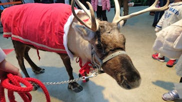 神戸どうぶつ王国に投稿された画像（2019/12/23）