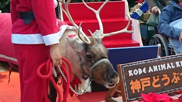 神戸どうぶつ王国に投稿された画像（2019/12/23）