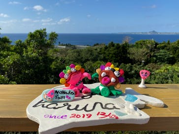 可愛いシーサー専門店 まいまいシーサーに投稿された画像（2019/12/23）