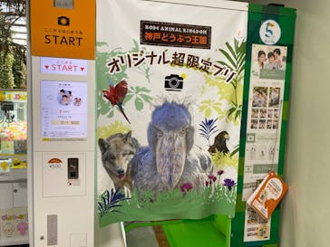 神戸どうぶつ王国に投稿された画像（2019/12/23）