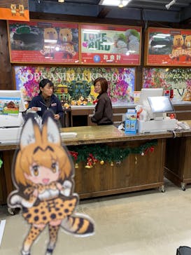神戸どうぶつ王国に投稿された画像（2019/12/23）