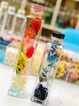 ずこうしつ〜sugamo〜に投稿された画像（2019/12/24）