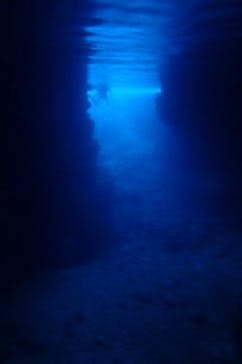 ダイビングショップ Sea Free（シーフリー）に投稿された画像（2019/12/25）