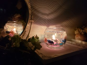 ずこうしつ〜sugamo〜に投稿された画像（2019/12/25）