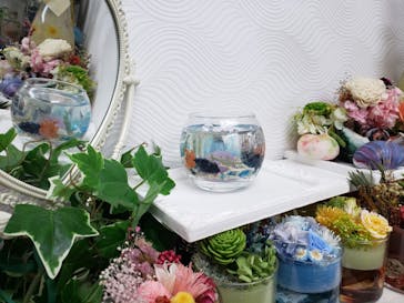 ずこうしつ〜sugamo〜に投稿された画像（2019/12/25）