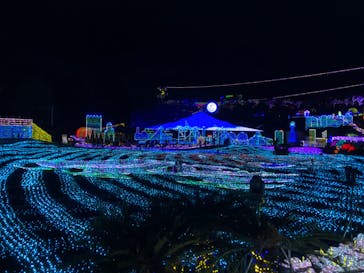 伊豆ぐらんぱる公園に投稿された画像（2019/12/25）