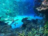 サンシャイン水族館に投稿された画像（2019/12/25）