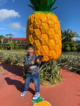 ナゴパイナップルパークに投稿された画像（2019/12/25）