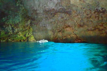 ダイビングショップ Sea Free（シーフリー）に投稿された画像（2019/12/26）