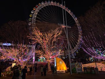 よみうりランド 遊園地に投稿された画像（2019/12/26）