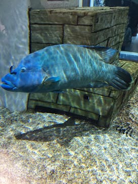 NIFREL（ニフレル）に投稿された画像（2019/12/26）