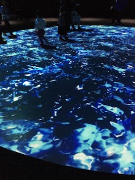 NIFREL（ニフレル）に投稿された画像（2019/12/26）