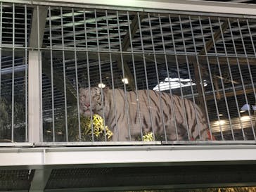 NIFREL（ニフレル）に投稿された画像（2019/12/26）