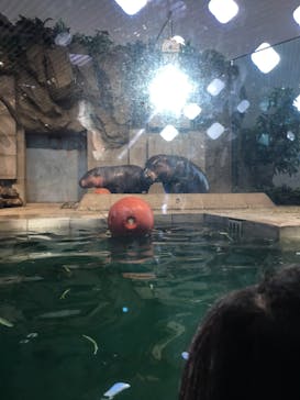 NIFREL（ニフレル）に投稿された画像（2019/12/26）