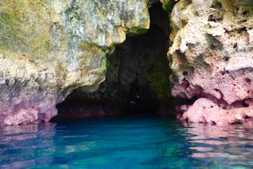 ダイビングショップ Sea Free（シーフリー）に投稿された画像（2019/12/26）