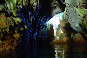 ダイビングショップ Sea Free（シーフリー）に投稿された画像（2019/12/26）