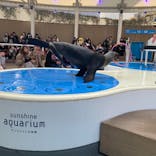 サンシャイン水族館に投稿された画像（2019/12/26）