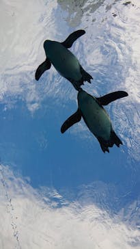 サンシャイン水族館に投稿された画像（2019/12/26）