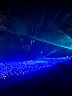 KYOTO ILLUMINATION SYNESTHESIA HILLS るり渓温泉に投稿された画像（2019/12/26）