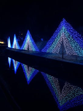 KYOTO ILLUMINATION SYNESTHESIA HILLS るり渓温泉に投稿された画像（2019/12/26）