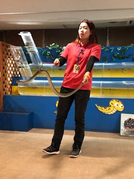 おきなわワールドに投稿された画像（2019/12/27）