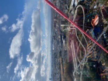 ひらかたパークに投稿された画像（2019/12/27）