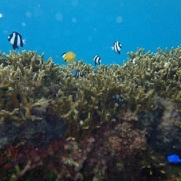 ダイブロックに投稿された画像（2019/12/27）