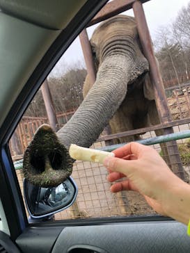 東北サファリパークに投稿された画像（2019/12/28）