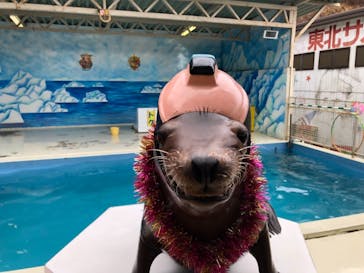 東北サファリパークに投稿された画像（2019/12/28）