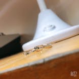 アカネス京都に投稿された画像（2019/12/28）