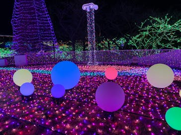 よみうりランド 遊園地に投稿された画像（2019/12/28）