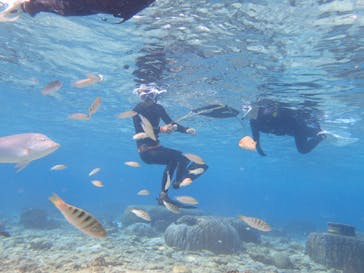 ダイビングショップ Sea Free（シーフリー）に投稿された画像（2019/12/29）