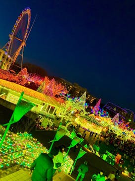 よみうりランド 遊園地に投稿された画像（2019/12/29）