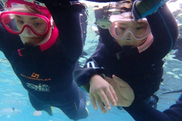 ダイビングショップ Sea Free（シーフリー）に投稿された画像（2019/12/29）