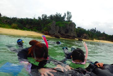 ダイビングショップ Sea Free（シーフリー）に投稿された画像（2019/12/29）