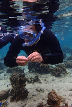 ダイビングショップ Sea Free（シーフリー）に投稿された画像（2019/12/29）