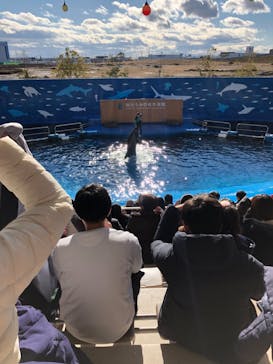 仙台うみの杜水族館に投稿された画像（2019/12/29）