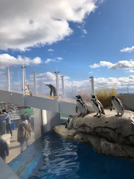 仙台うみの杜水族館に投稿された画像（2019/12/29）