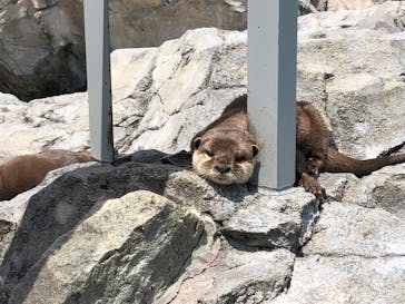 姫路セントラルパークに投稿された画像（2019/12/30）