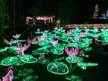 美らヤシパークオキナワ・東南植物楽園に投稿された画像（2019/12/30）