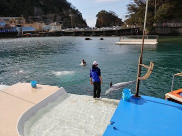 下田海中水族館に投稿された画像（2019/12/30）