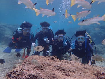 ダイビングショップ Sea Free（シーフリー）に投稿された画像（2019/12/30）