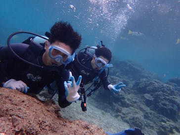 ダイビングショップ Sea Free（シーフリー）に投稿された画像（2019/12/30）