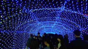 ひらかたパークに投稿された画像（2019/12/30）