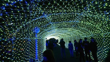 ひらかたパークに投稿された画像（2019/12/30）