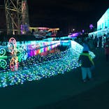 よみうりランド 遊園地に投稿された画像（2019/12/31）