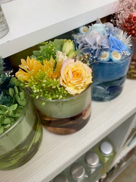 ずこうしつ〜sugamo〜に投稿された画像（2019/12/31）